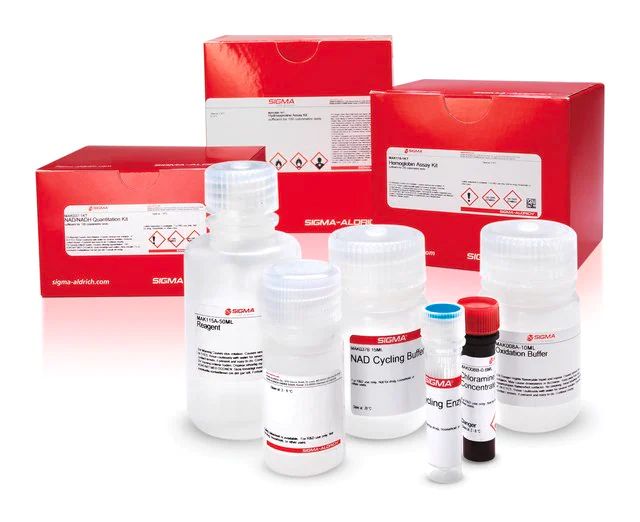 HDL and LDL/VLDL Quantitation Kit