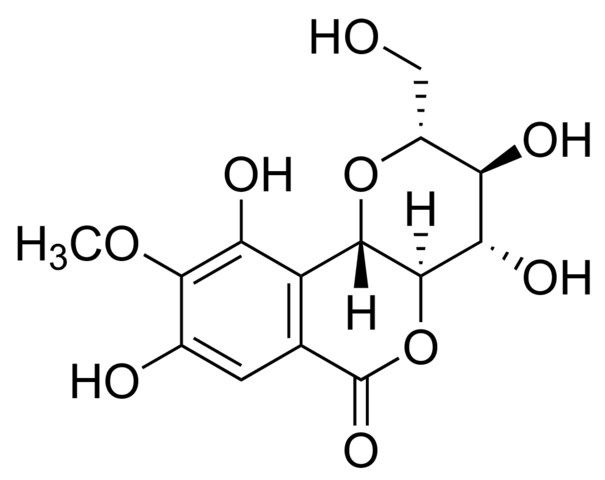 Bergenin