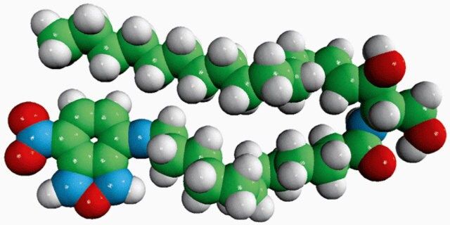 C12-NBD Ceramide