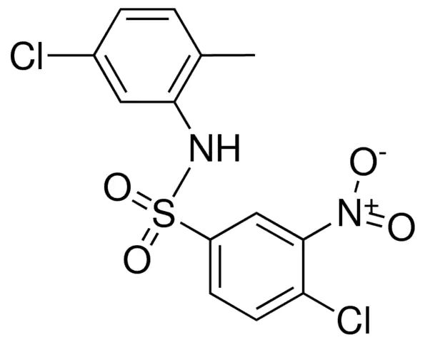 4,5'-DICHLORO-2'-METHYL-3-NITROBENZENESULFONANILIDE