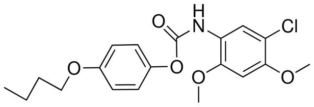 4-BUTOXYPHENYL N-(5-CHLORO-2,4-DIMETHOXYPHENYL)CARBAMATE