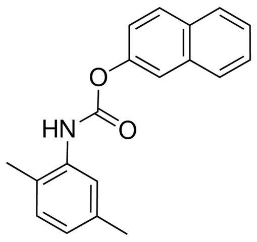 2-NAPHTHYL N-(2,5-XYLYL)CARBAMATE