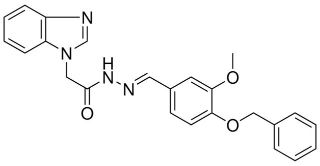 2-BENZOIMIDAZOL-1-YL-ACETIC ACID (4-BENZYLOXY-3-METHOXY-BENZYLIDENE)-HYDRAZIDE