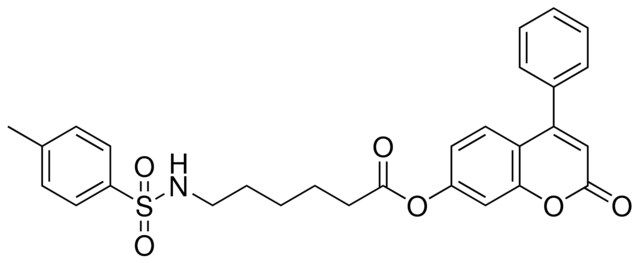 6-(TOLUENE-4-SULFONYLAMINO)-HEXANOIC ACID 2-OXO-4-PHENYL-2H-CHROMEN-7-YL ESTER