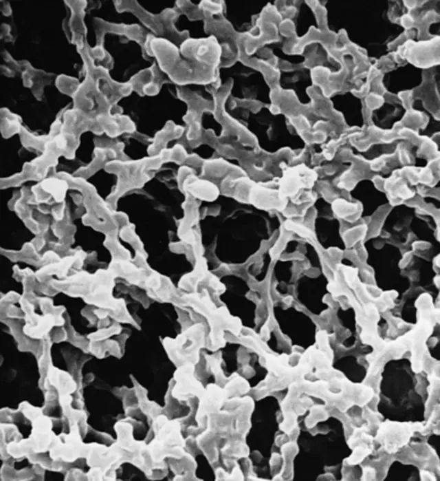 MF-Millipore<sup>?</sup> Membrane Filter, 0.45 m pore size