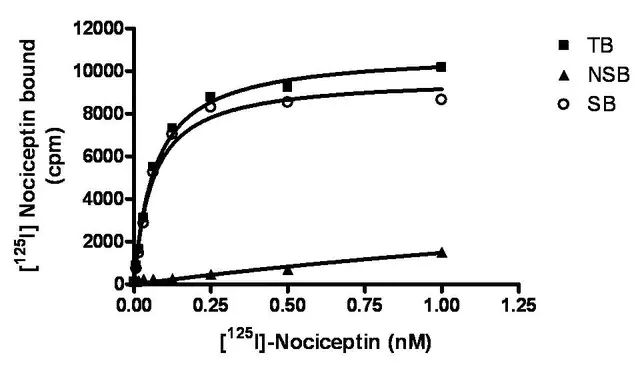 ChemiSCREEN Membrane Preparation Recombinant Human NOP Opioid Receptor