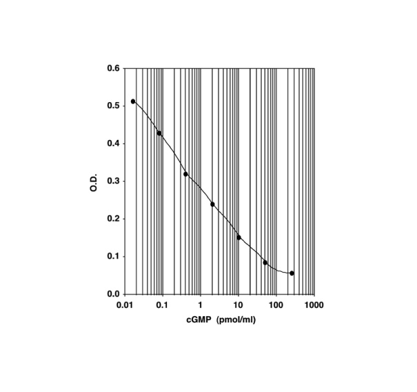 Anti CGMP/Mouse Monoclonal AntibodyͼƬ