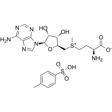 S-Adenosyl-L-methionine tosylateͼƬ