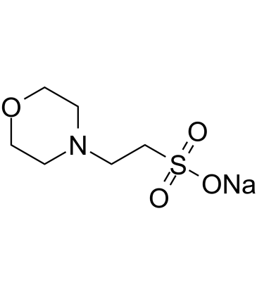 MES sodium saltͼƬ