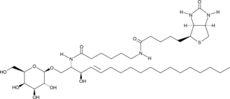 C6 Galactosylceramide-biotinͼƬ