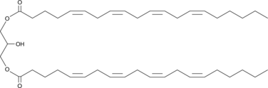 1,3-Diarachidonoyl-rac-glycerolͼƬ