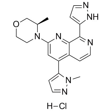 BAY-1895344 hydrochlorideͼƬ