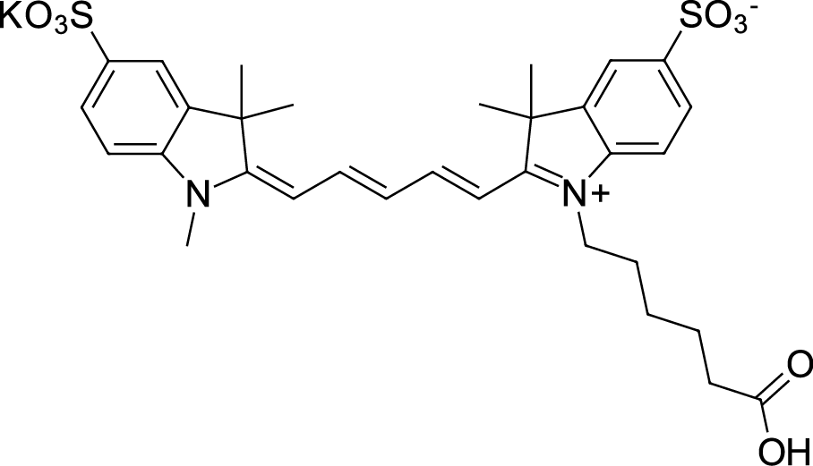 Sulfo-Cyanine5 carboxylic acidͼƬ