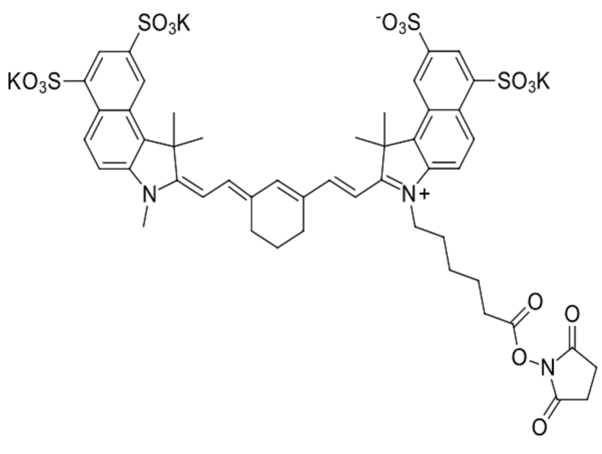 Sulfo-Cyanine7,5 NHS esterͼƬ