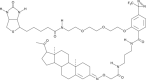 Progesterone-3-biotinyl Photoaffinity ProbeͼƬ