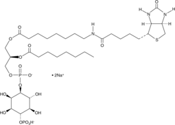 PtdIns-(4)-P1(1,2-dioctanoyl)-biotin(sodium salt)ͼƬ