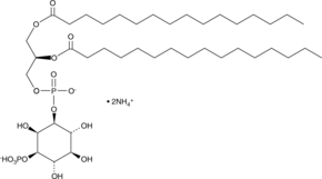 PtdIns-(3)-P1(1,2-dipalmitoyl)(ammonium salt)ͼƬ