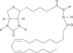 Linoleic Acid-biotinͼƬ