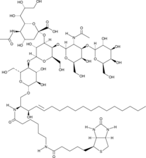 C6 Biotin Ganglioside GM1(d18:1/6:0)ͼƬ