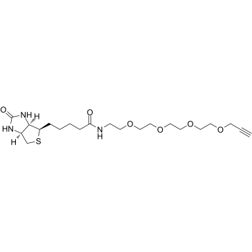 Biotin-PEG4-alkyneͼƬ