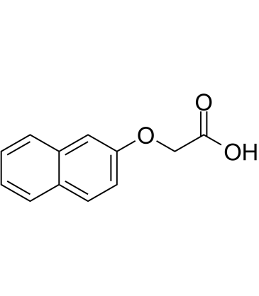 2-Naphthoxyacetic acidͼƬ