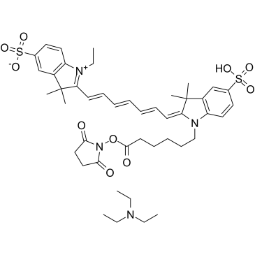 CY7-SE triethylamineͼƬ