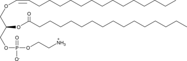 1-1(Z)-Hexadecenyl-2-Palmitoyl-sn-glycero-3-PEͼƬ