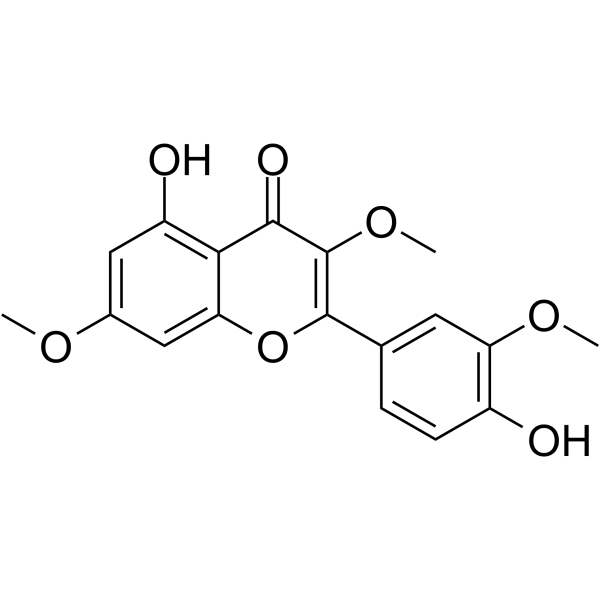 PachypodolͼƬ