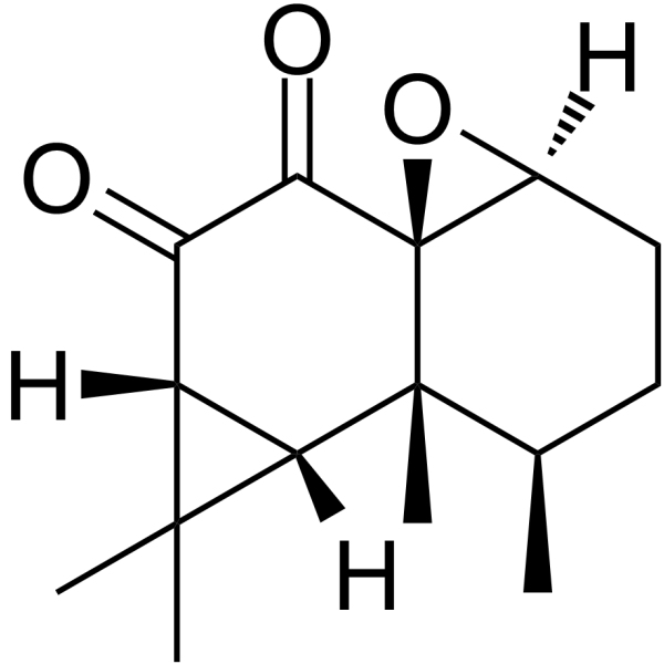 Kanshone CͼƬ