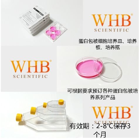 WHB-100-CCԭͼƬ