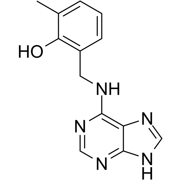 PI-55ͼƬ