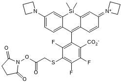 Janelia Fluor 669,SEͼƬ