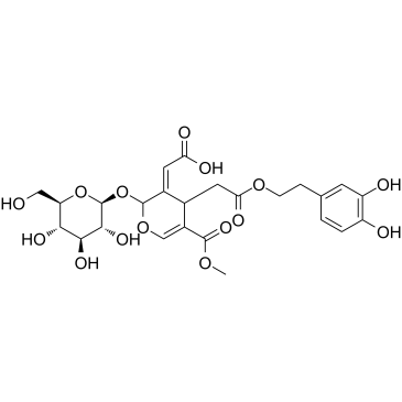 Oleuropeinic acidͼƬ