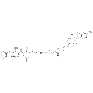 PROTAC ERDegrader-2ͼƬ