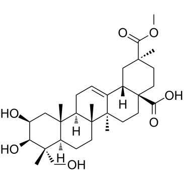 PhytolaccageninͼƬ