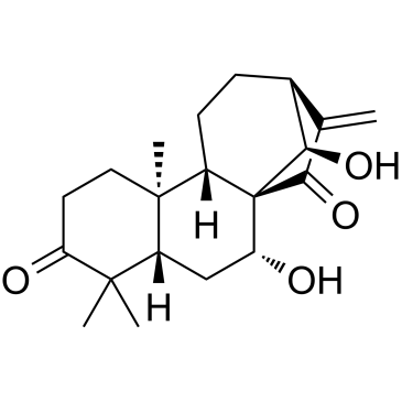 Glaucocalyxin AͼƬ