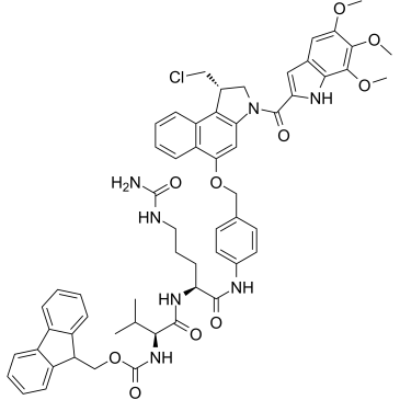 Fmoc-Val-Cit-PAB-Duocarmycin TMͼƬ