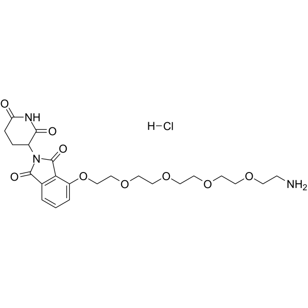 Thalidomide-O-PEG4-amine hydrochlorideͼƬ