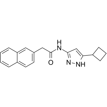 CDK5 inhibitor 20-223ͼƬ