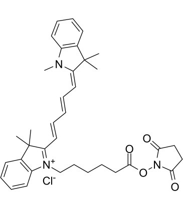 Cyanine5 NHS ester chlorideͼƬ