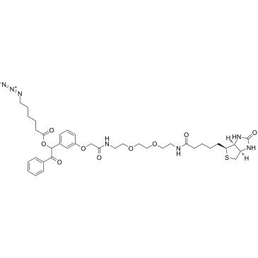 UV Cleavable Biotin-PEG2-AzideͼƬ