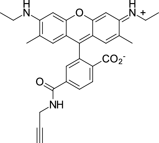 R6G alkyne,6-isomerͼƬ