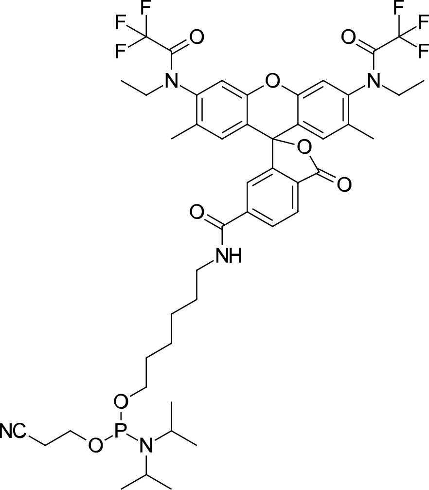 R6G phosphoramidite,6-isomerͼƬ