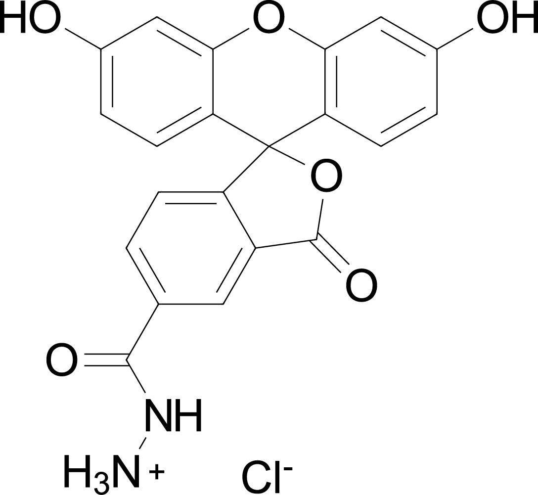 FAM hydrazide,5-isomerͼƬ