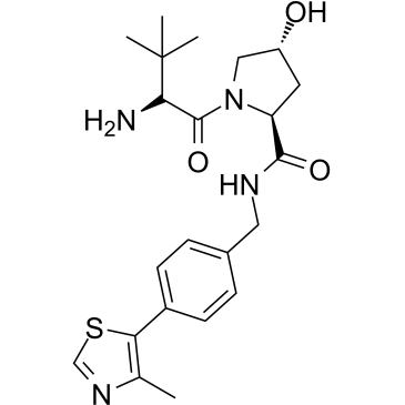 E3 ligase Ligand 18ͼƬ