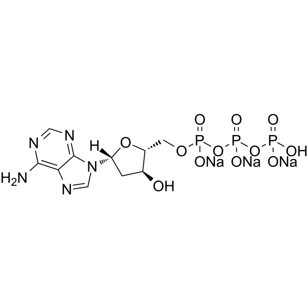 2&rsquo-Deoxyadenosine-5&rsquo-triphosphate trisodiumͼƬ