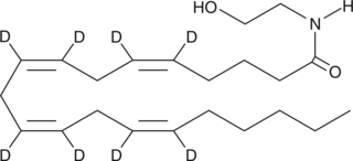 Arachidonoyl Ethanolamide-d8ͼƬ