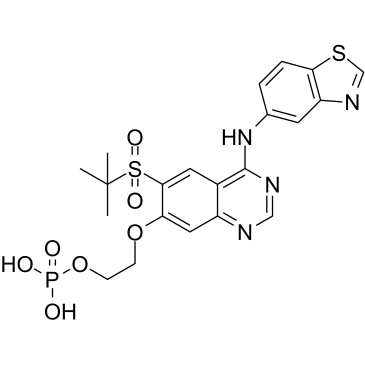 GSK2983559 free acidͼƬ