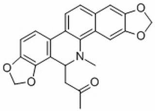 6-AcetonyldihydrosanguinarineͼƬ