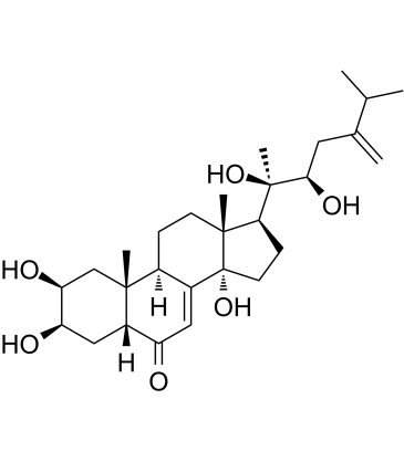 Polyporusterone BͼƬ